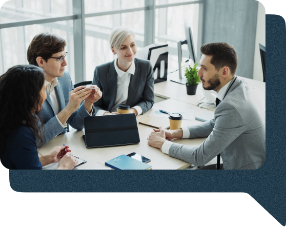ERP Assessment & Independent Advisory Team