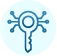 Key Reports