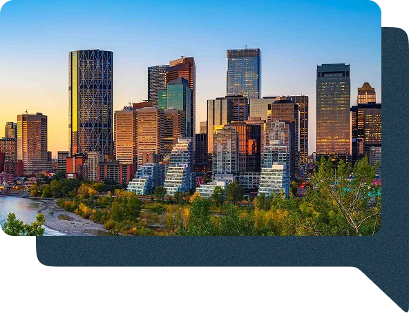 Permitting and licensing city
